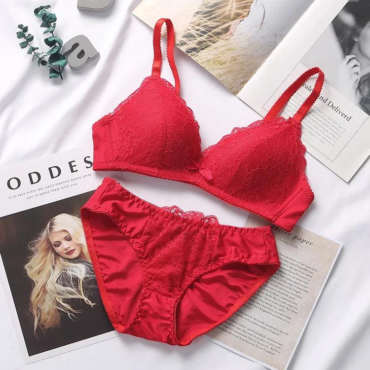 Vintage Lace Push-Up Bra Set – Sexy Deep V-Neck Lingerie"