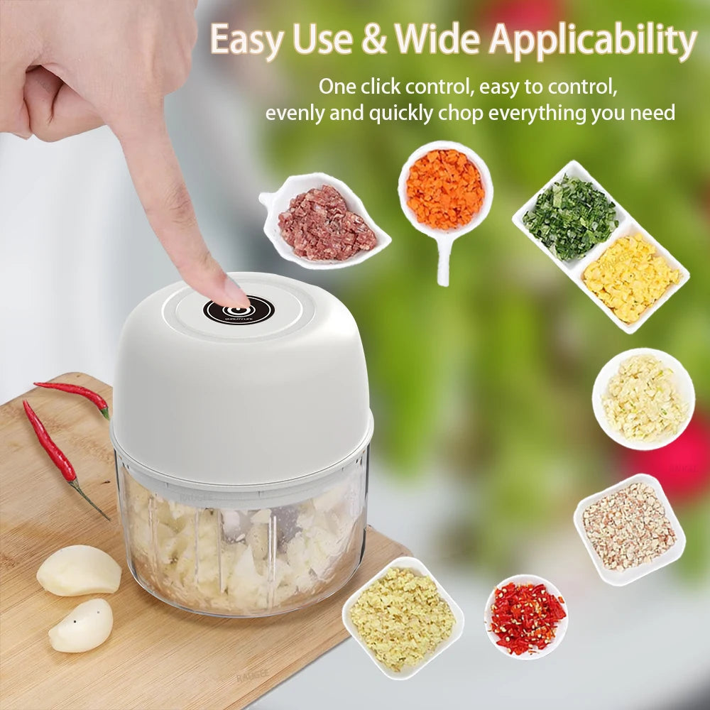 Mini Electric Food Chopper β 300ml Rechargeable Grinder for Garlic, Vegetables & Meat