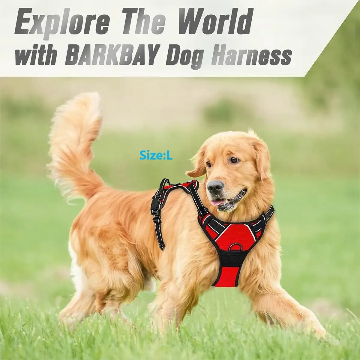 No-Pull Reflective Dog Harness – Front-Clip, Heavy-Duty with Handle for Large Dogs