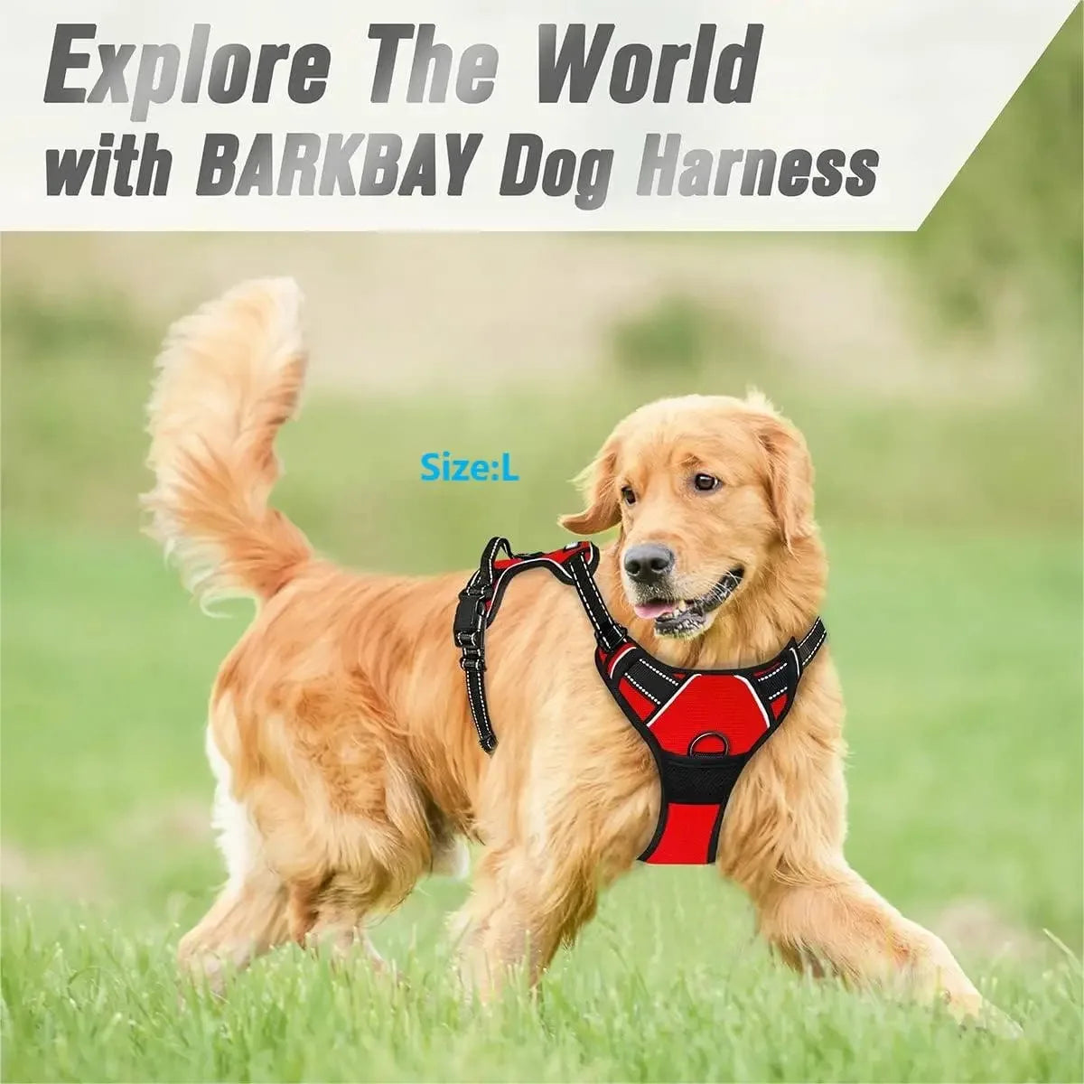 Dog Harness & Leash Set β Leather Collar Vest for Small & Medium Dogs