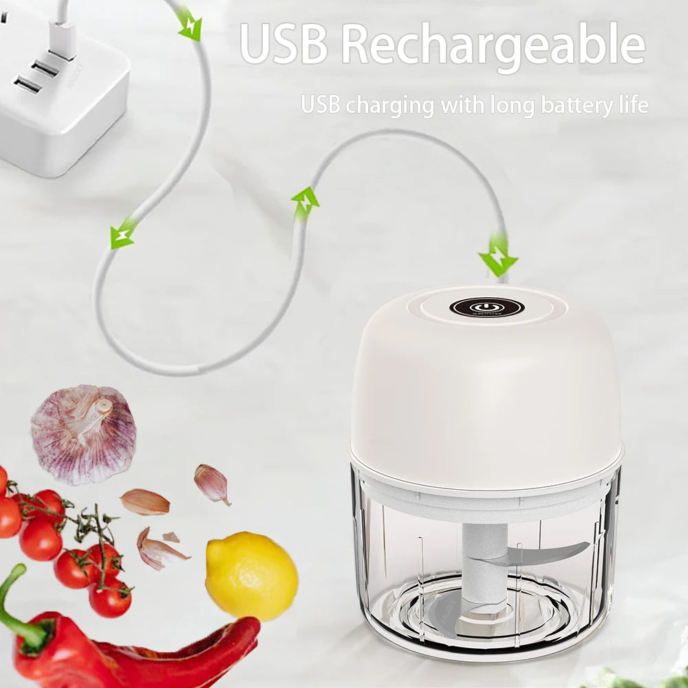 Mini Electric Food Chopper β 300ml Rechargeable Grinder for Garlic, Vegetables & Meat