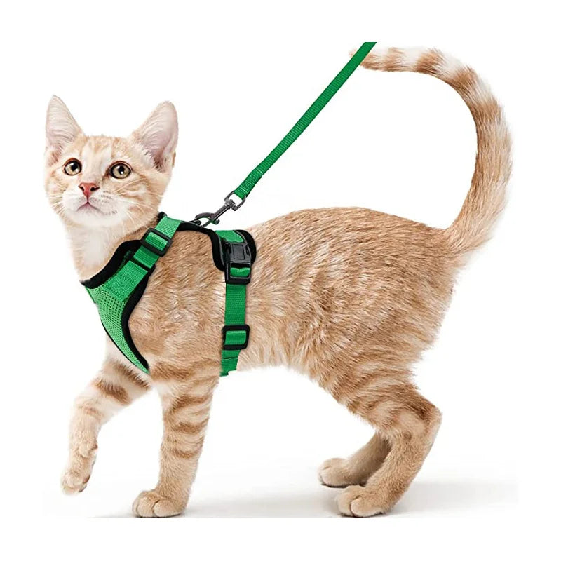 Escape-Proof Cat Harness & Leash β Soft, Adjustable Walking Vest