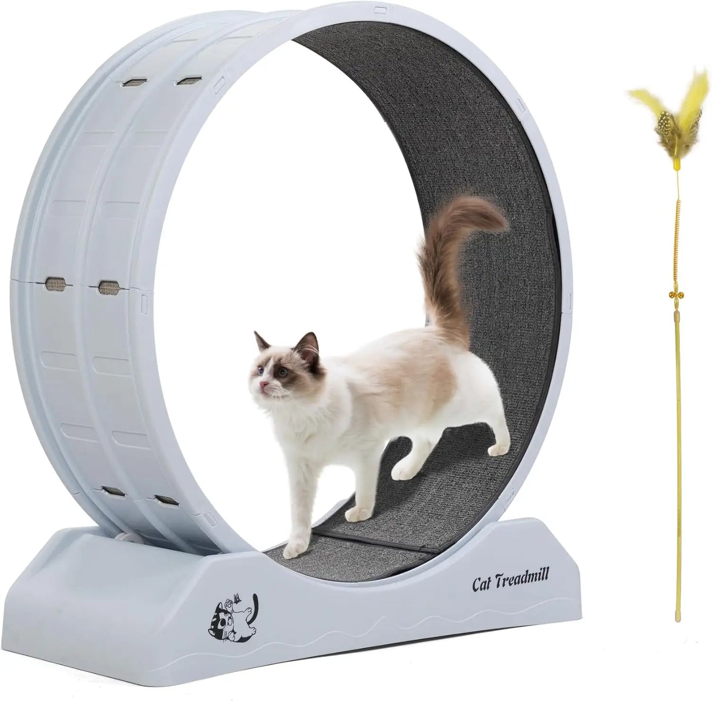 Cat Exercise Wheel β Carpeted Treadmill with Safety Lock for Indoor Fitness