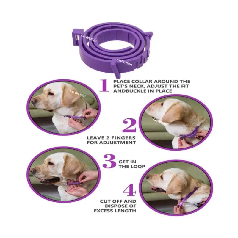 Adjustable Calming Collar for Cats & Dogs β Natural Anxiety & Stress Relief