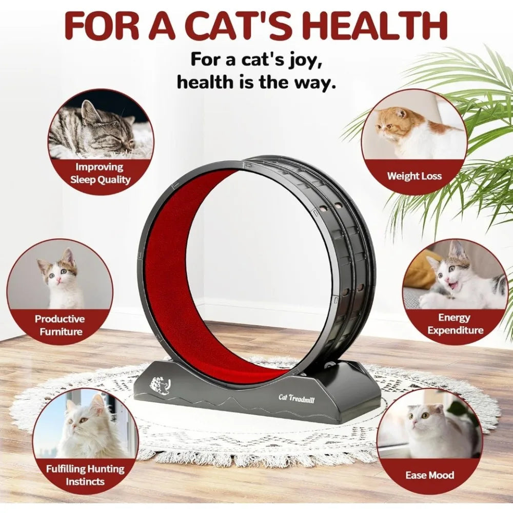 Cat Exercise Wheel β Carpeted Treadmill with Safety Lock for Indoor Fitness