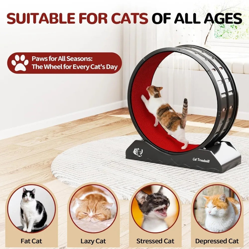 Cat Exercise Wheel β Carpeted Treadmill with Safety Lock for Indoor Fitness