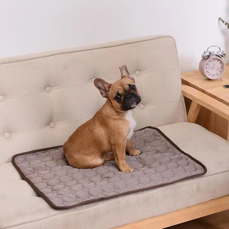 Breathable Summer Cooling Dog Mat – Washable Pet Pad for Dogs & Cats