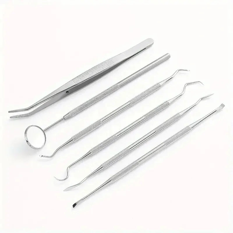Stainless Steel Dental Care Kit – Flossing, Tartar Removal & Oral Mirror Set