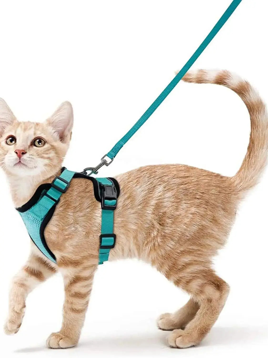 Escape-Proof Cat Harness & Leash – Soft, Adjustable Walking Vest