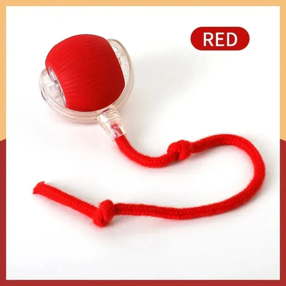 Interactive Smart Rolling Ball Toy – Rechargeable Electric Cat Toy with Faux Tail