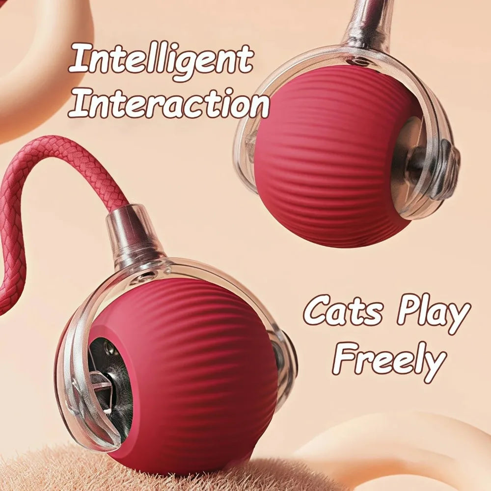 Interactive Smart Rolling Ball Toy – Rechargeable Electric Cat Toy with Faux Tail