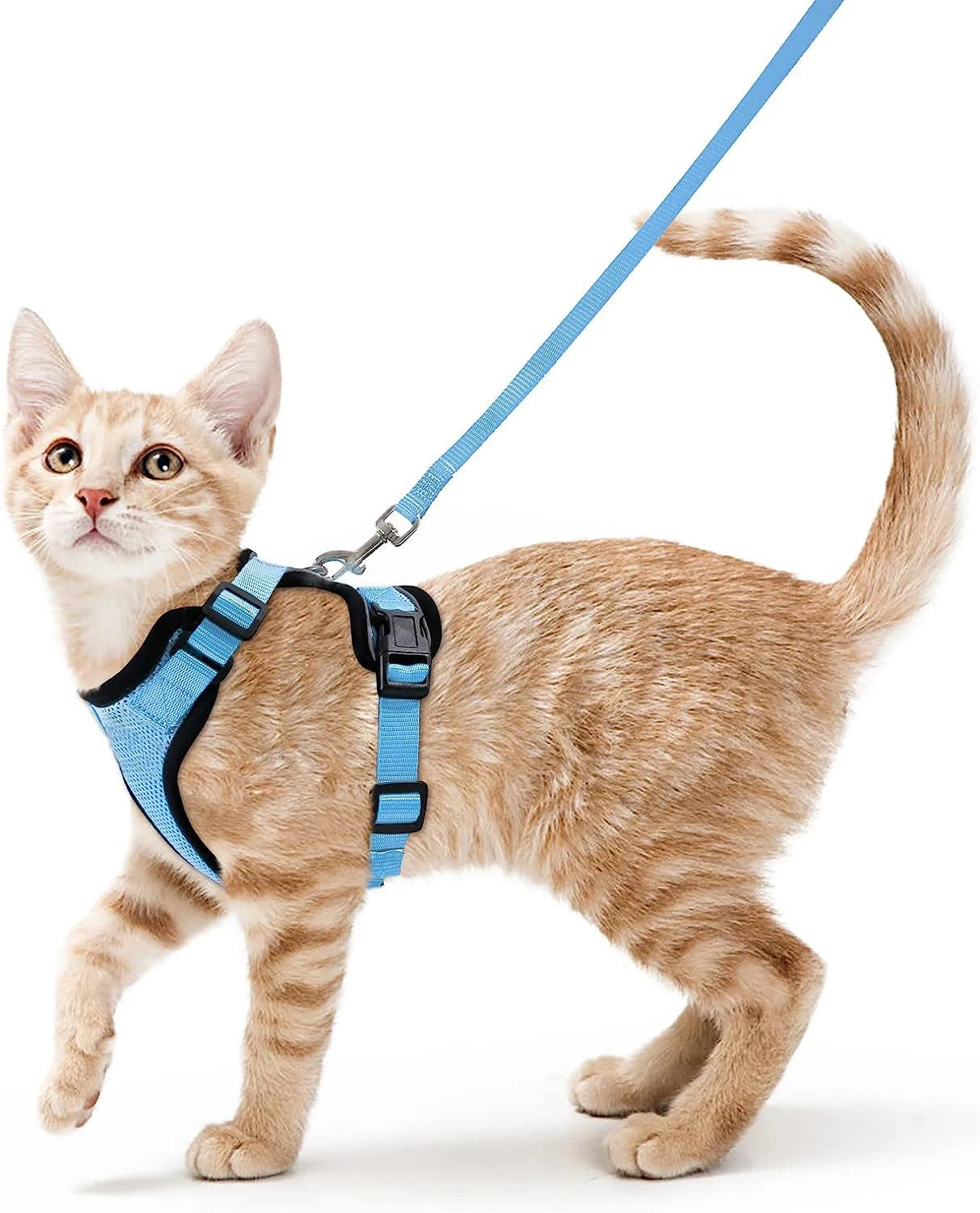 Escape-Proof Cat Harness & Leash – Soft, Adjustable Walking Vest