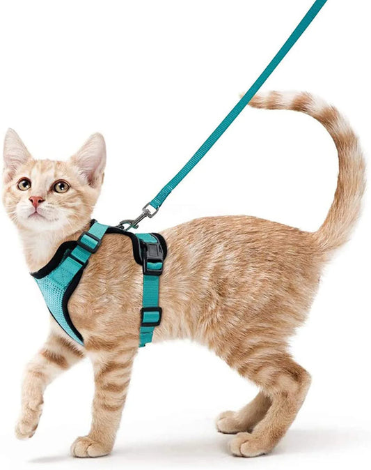 Escape-Proof Cat Harness & Leash – Soft, Adjustable Walking Vest