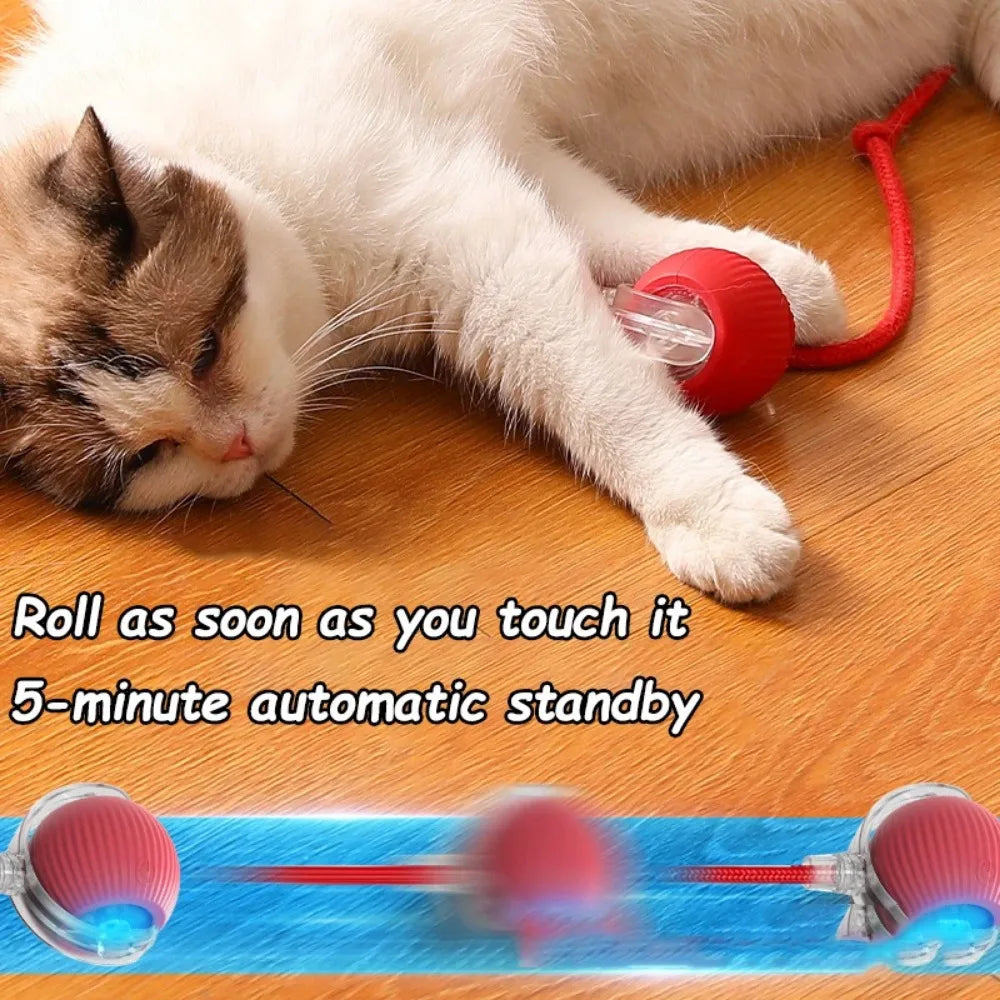 Interactive Smart Rolling Ball Toy – Rechargeable Electric Cat Toy with Faux Tail