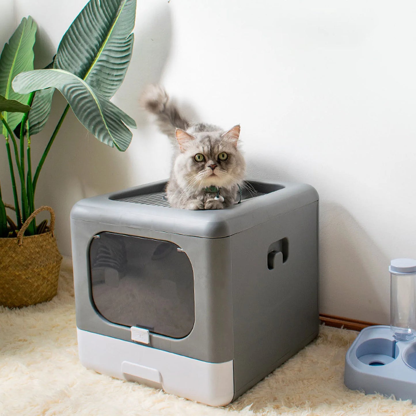 Enclosed Foldable Cat Litter Box – Large, Spill-Proof Plastic Cat Toilet
