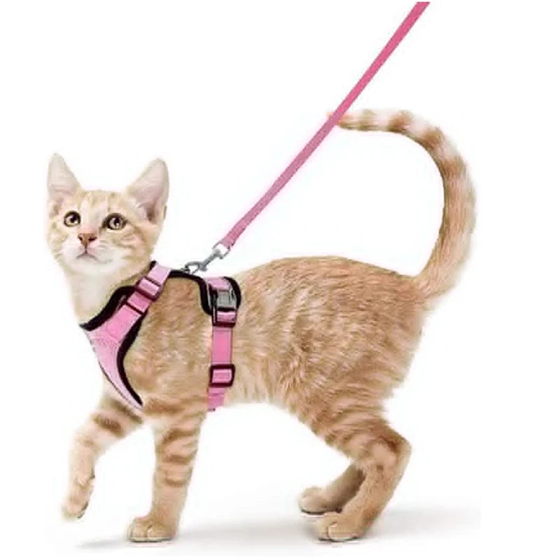Escape-Proof Cat Harness & Leash – Soft, Adjustable Walking Vest