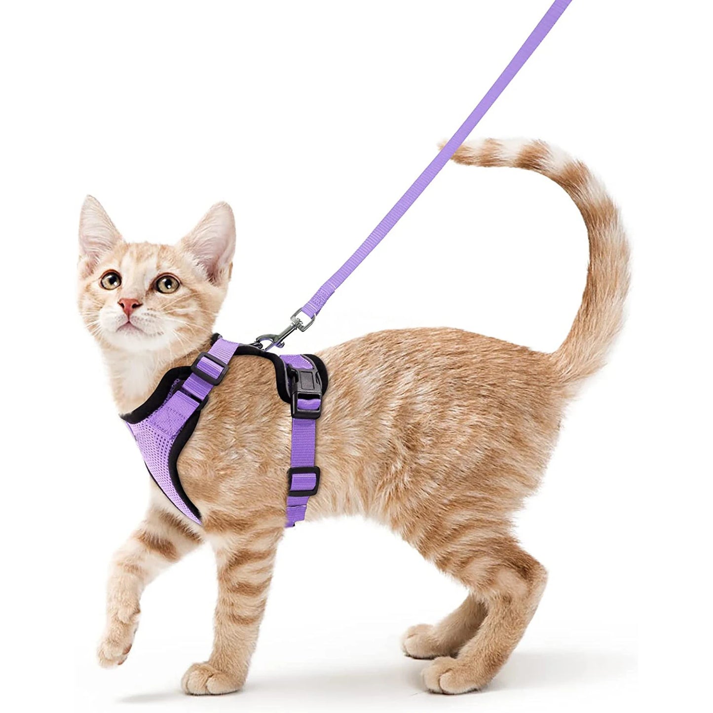 Escape-Proof Cat Harness & Leash – Soft, Adjustable Walking Vest