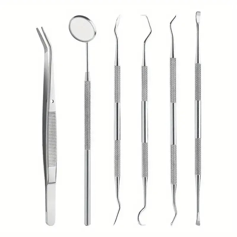 Stainless Steel Dental Care Kit – Flossing, Tartar Removal & Oral Mirror Set