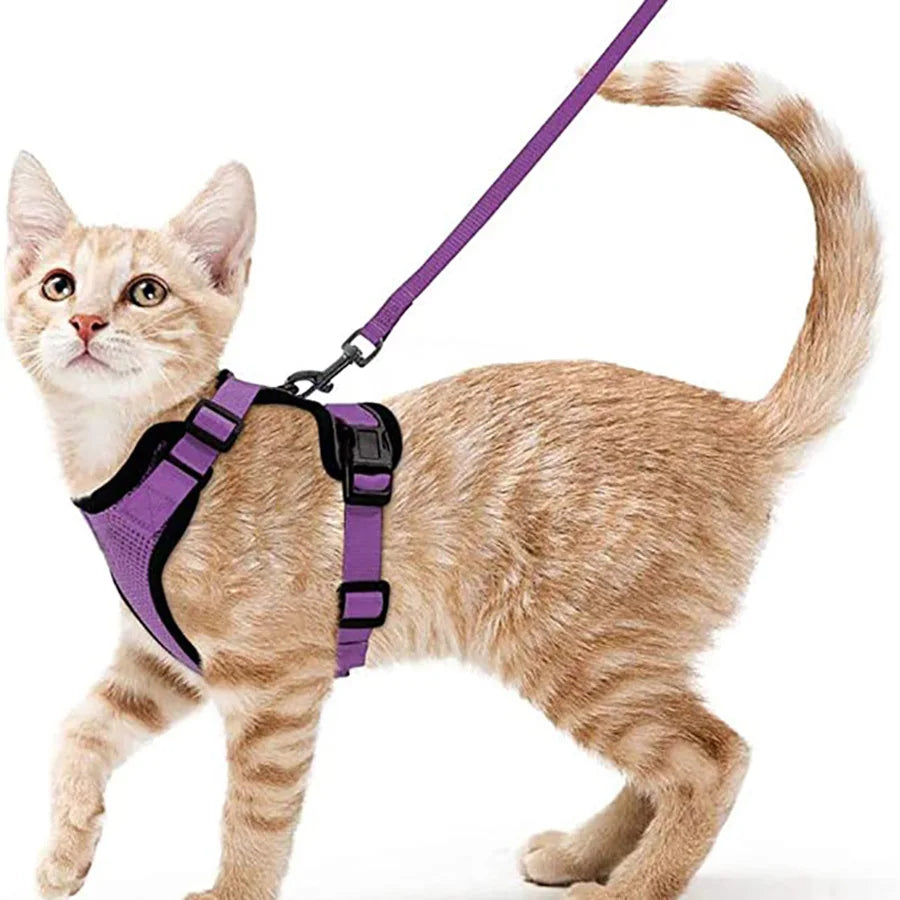 Escape-Proof Cat Harness & Leash – Soft, Adjustable Walking Vest