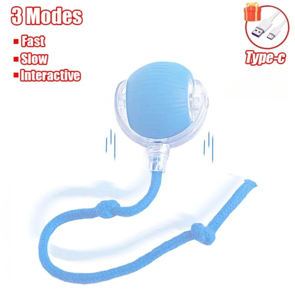 Interactive Smart Rolling Ball Toy – Rechargeable Electric Cat Toy with Faux Tail