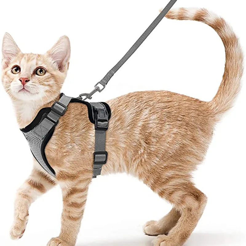 Escape-Proof Cat Harness & Leash – Soft, Adjustable Walking Vest