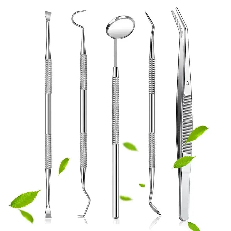 Stainless Steel Dental Care Kit – Flossing, Tartar Removal & Oral Mirror Set