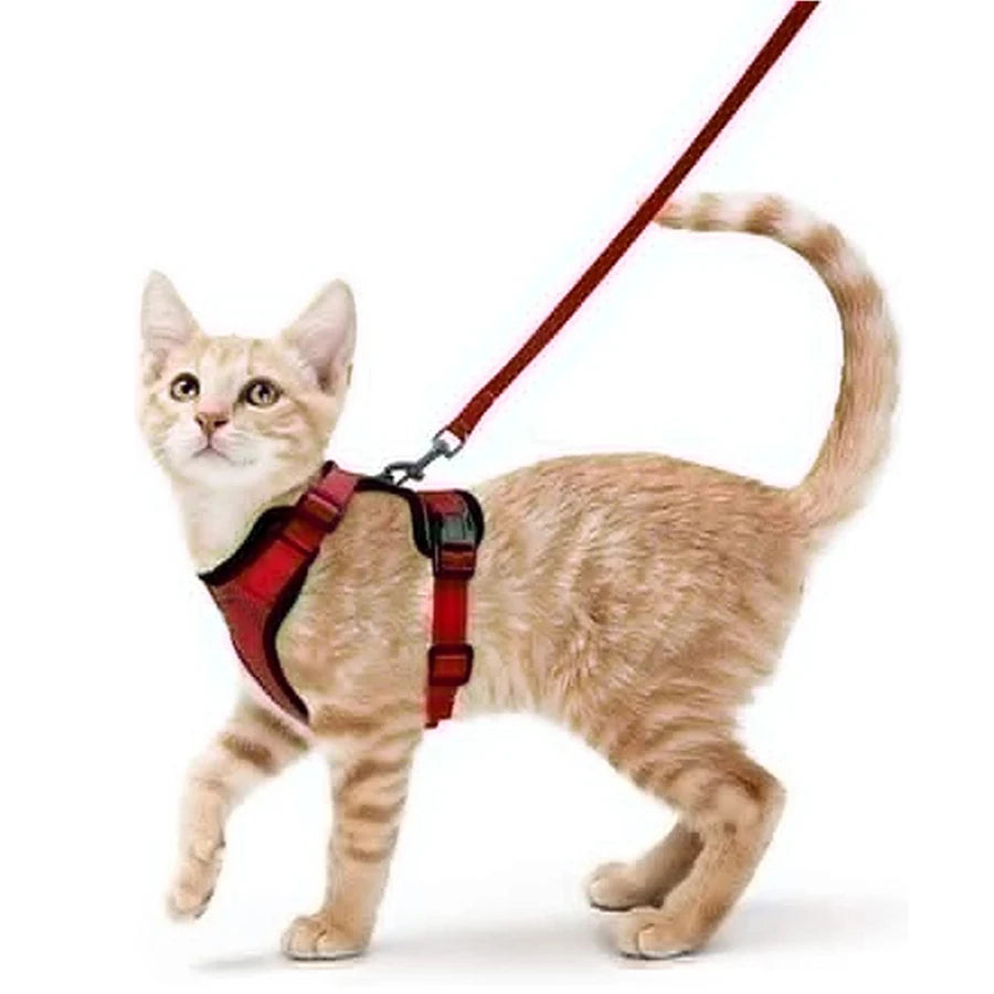 Escape-Proof Cat Harness & Leash – Soft, Adjustable Walking Vest