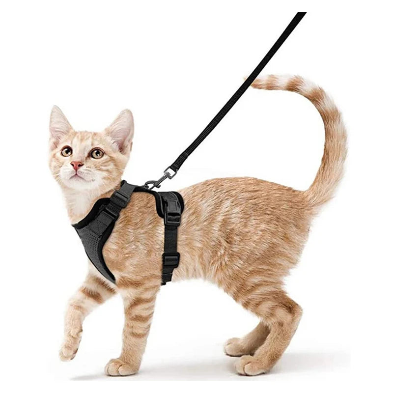 Escape-Proof Cat Harness & Leash – Soft, Adjustable Walking Vest