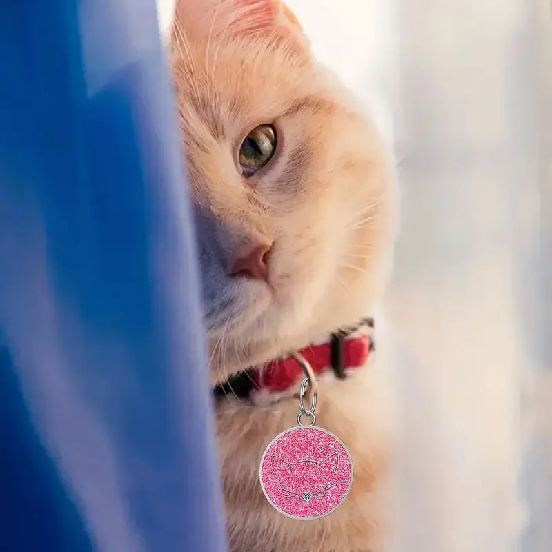 Personalized Pet ID Collar Tag – Custom Engraved Name & Phone Pendant for Cats & Dogs