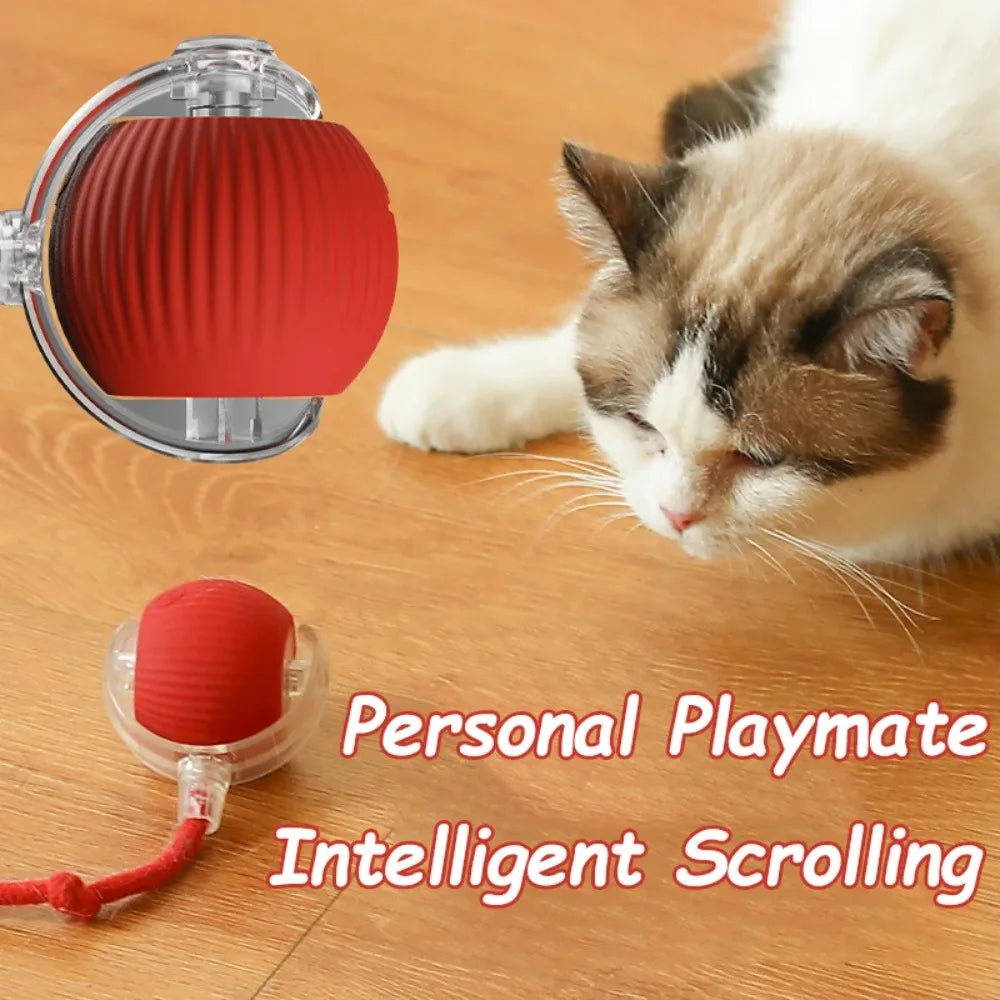 Interactive Smart Rolling Ball Toy – Rechargeable Electric Cat Toy with Faux Tail