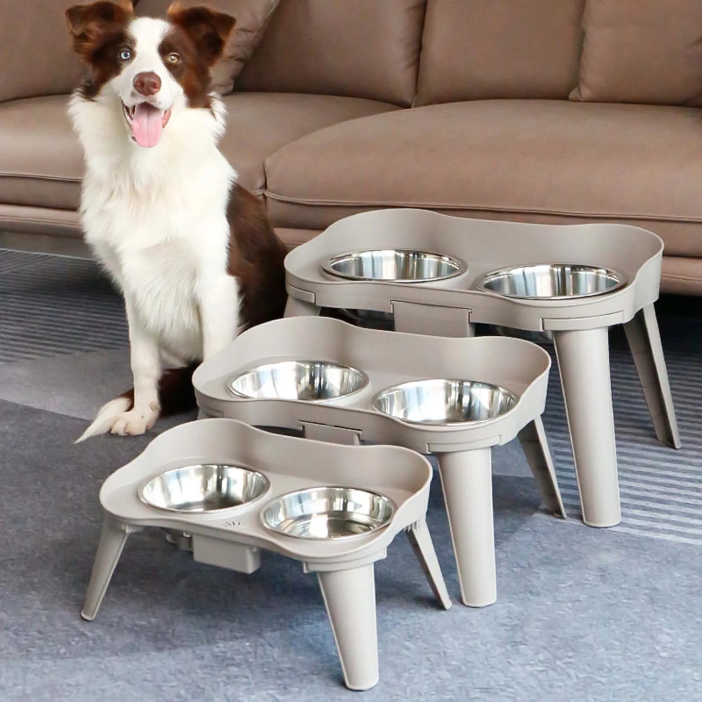 Elevated Dog Feeder with Non-Slip Stand – Raised Bowl for Better Posture & Comfort