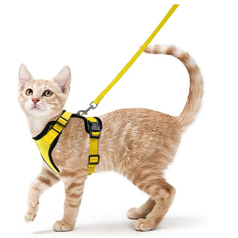 Escape-Proof Cat Harness & Leash – Soft, Adjustable Walking Vest
