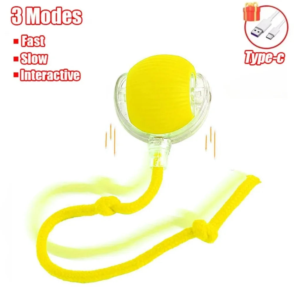 Interactive Smart Rolling Ball Toy – Rechargeable Electric Cat Toy with Faux Tail