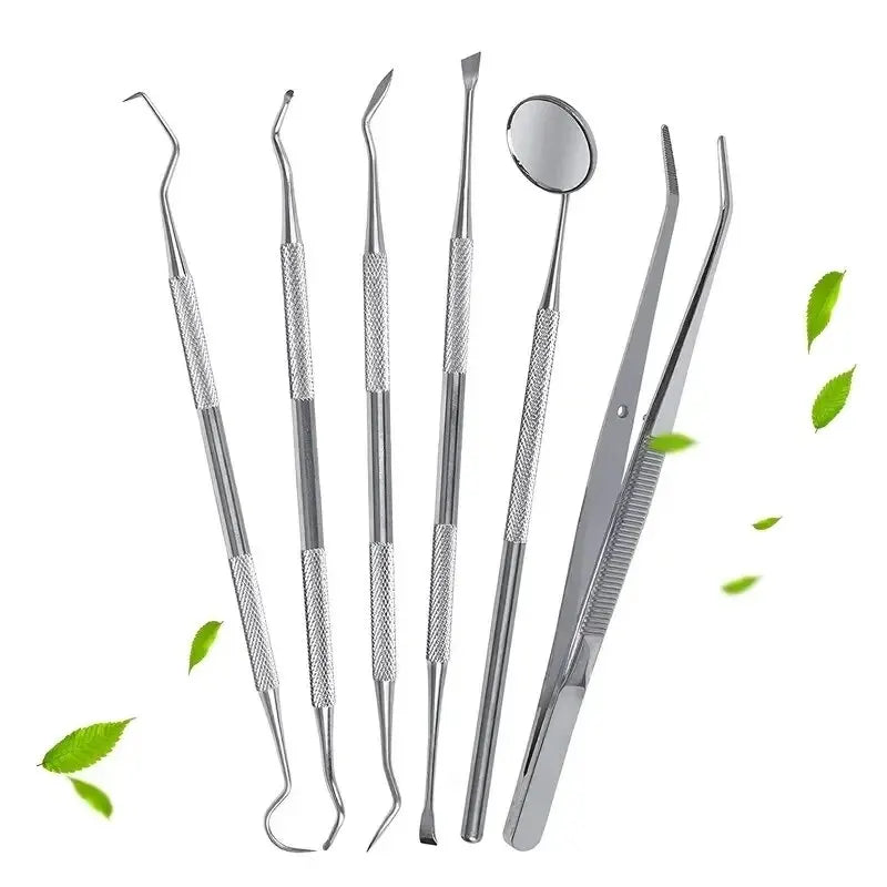 Stainless Steel Dental Care Kit – Flossing, Tartar Removal & Oral Mirror Set