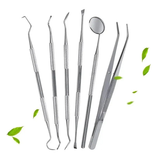 Stainless Steel Dental Care Kit – Flossing, Tartar Removal & Oral Mirror Set
