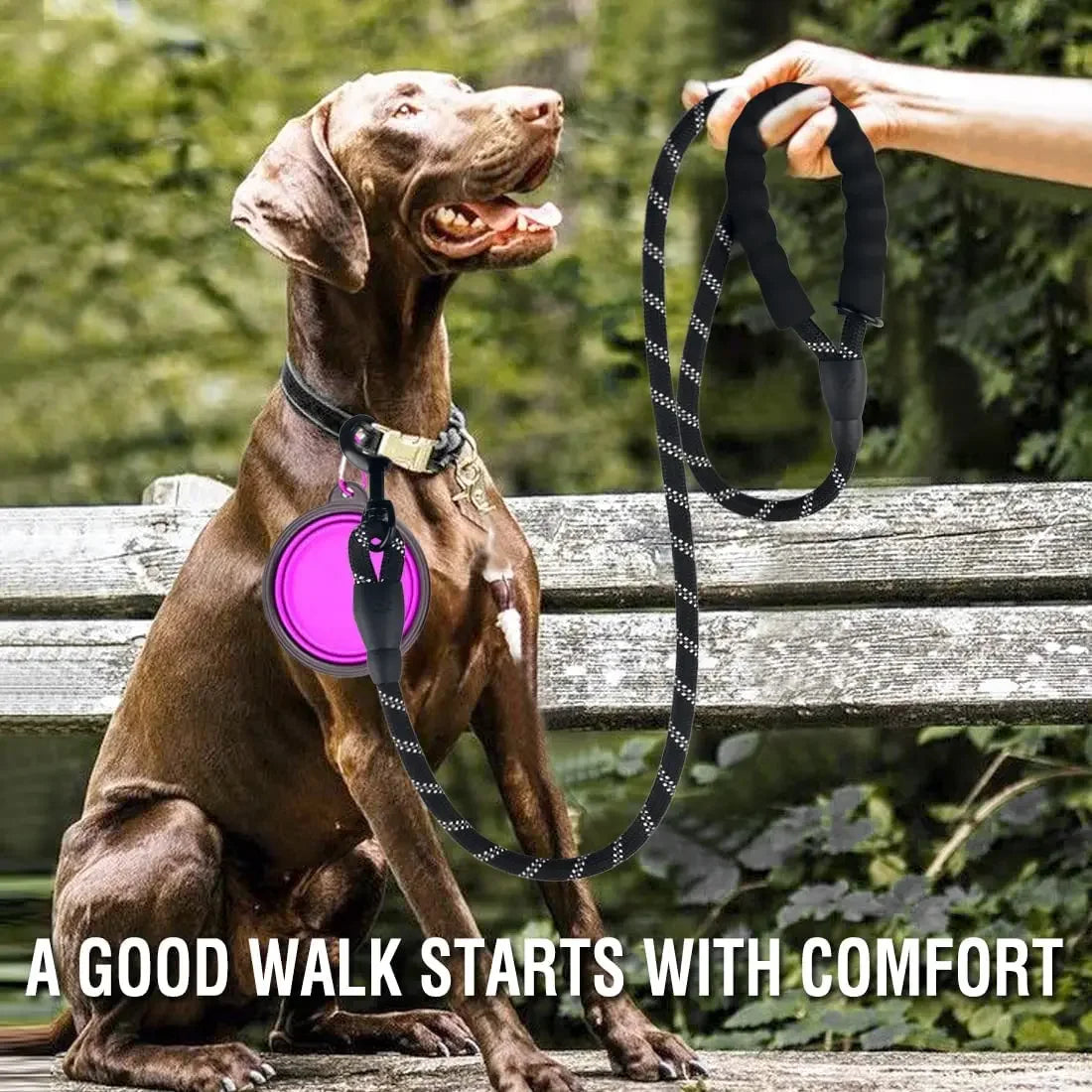 Reflective Strong Dog Leash – Durable Pull-Resistant Leash for Small to Large Dogs